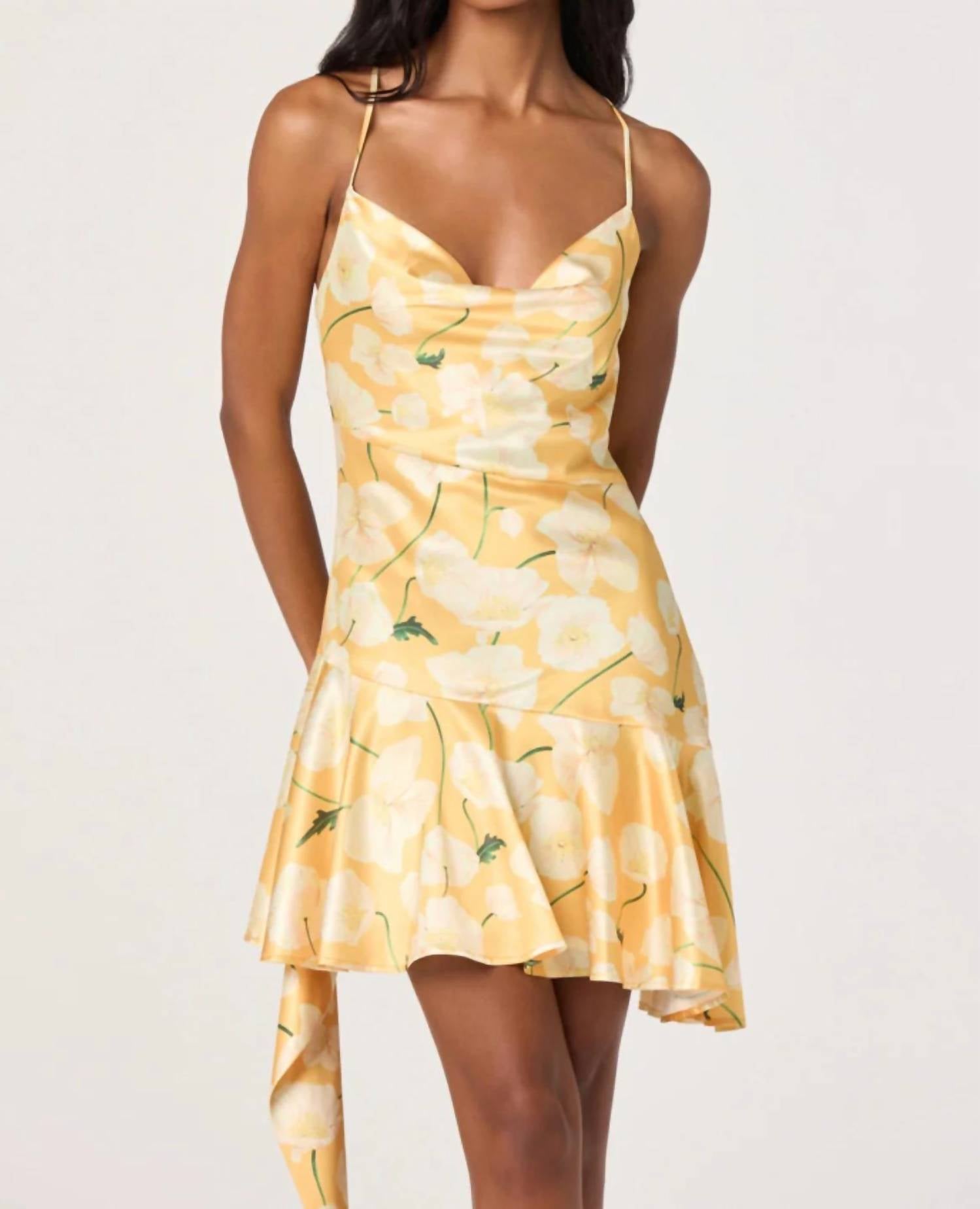 Astr - Paloma Mini Dress