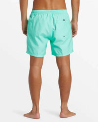 Quiksilver - Men's Everyday Solid Volley Short