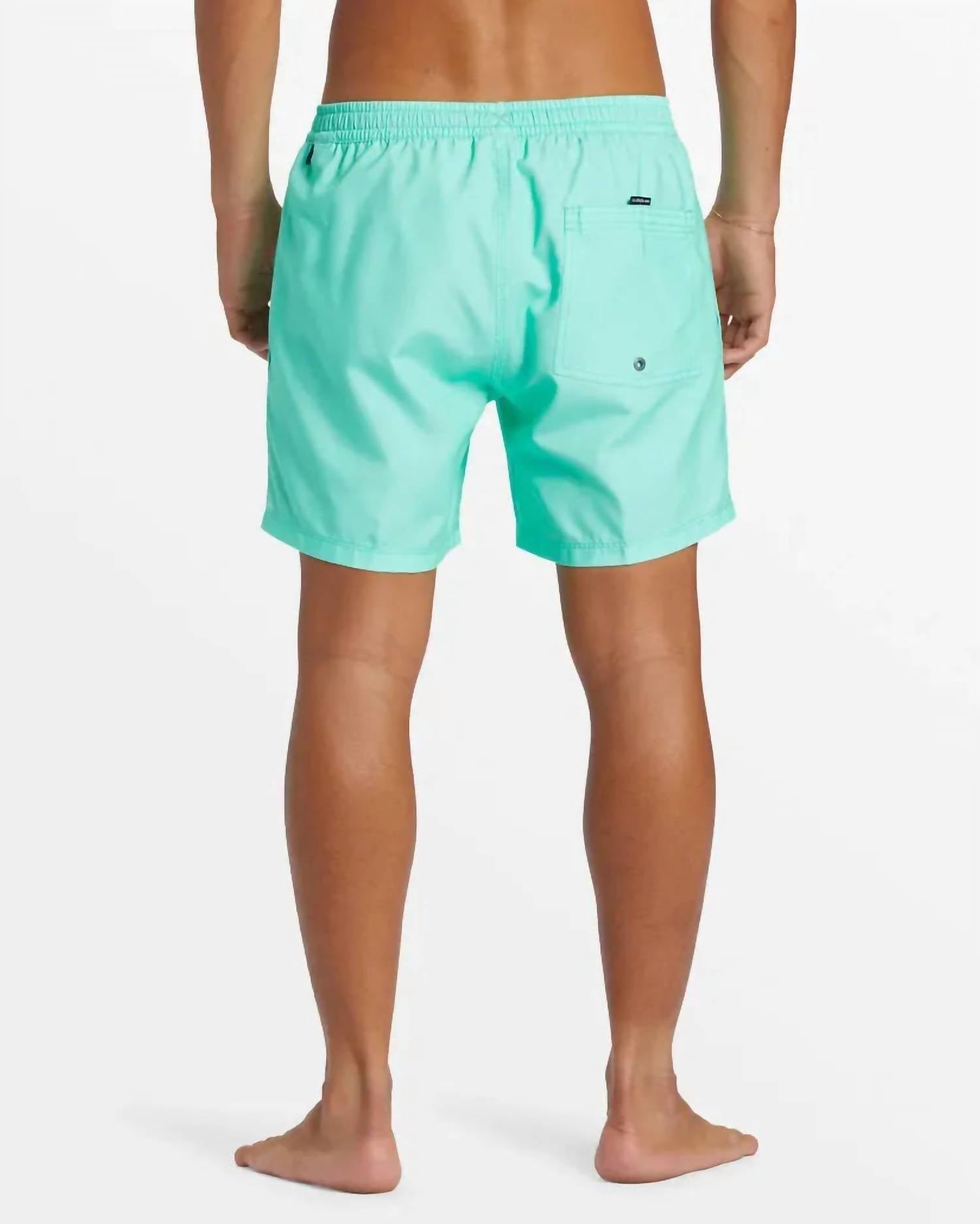 Quiksilver - Men's Everyday Solid Volley Short