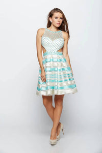 Last Dress - Pearl Net Tiffany Stripe Dress