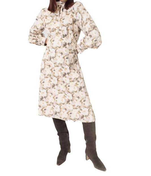 Area Stars - AMAL DRESS