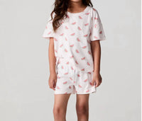 Chaser - Watermelon All Over Tee