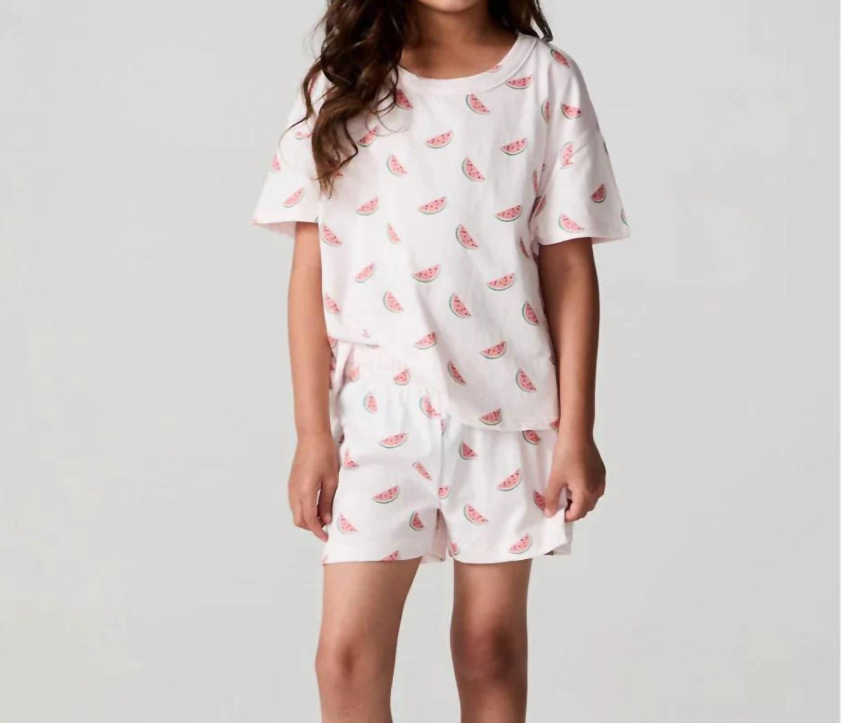 Chaser - Watermelon All Over Tee
