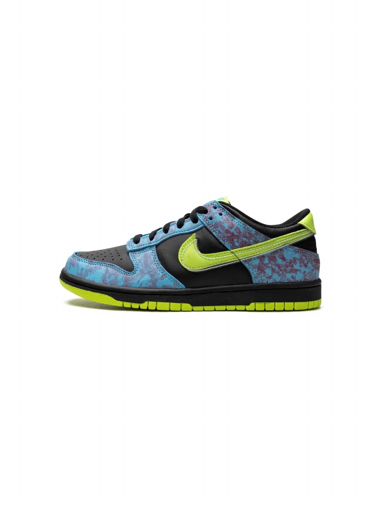 Nike - Kid's Dunk Low Special Edition Sneakers