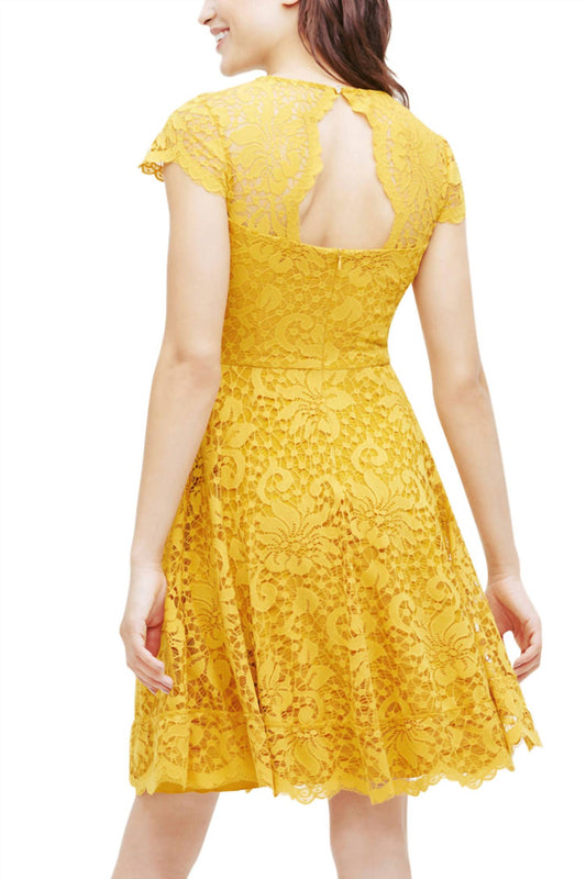 Kensie - Lace Fit And Flare Dress