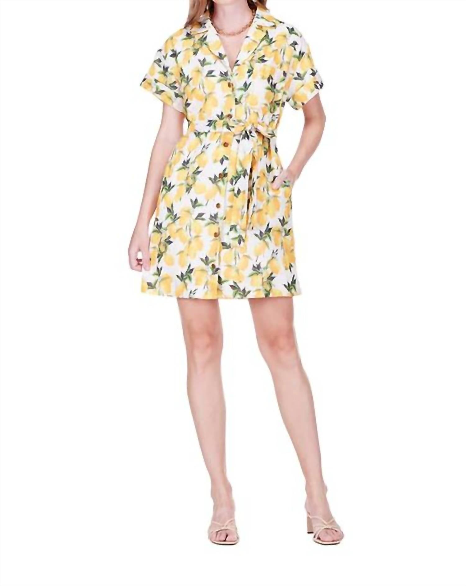 Joy Joy - Pocket Shirt Dress