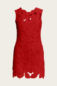 Cult Gaia - Women's Meira Dress