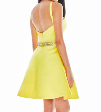 Ashleylauren - Halter Mini Dress