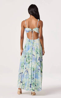 Astr - Emese Maxi Dress