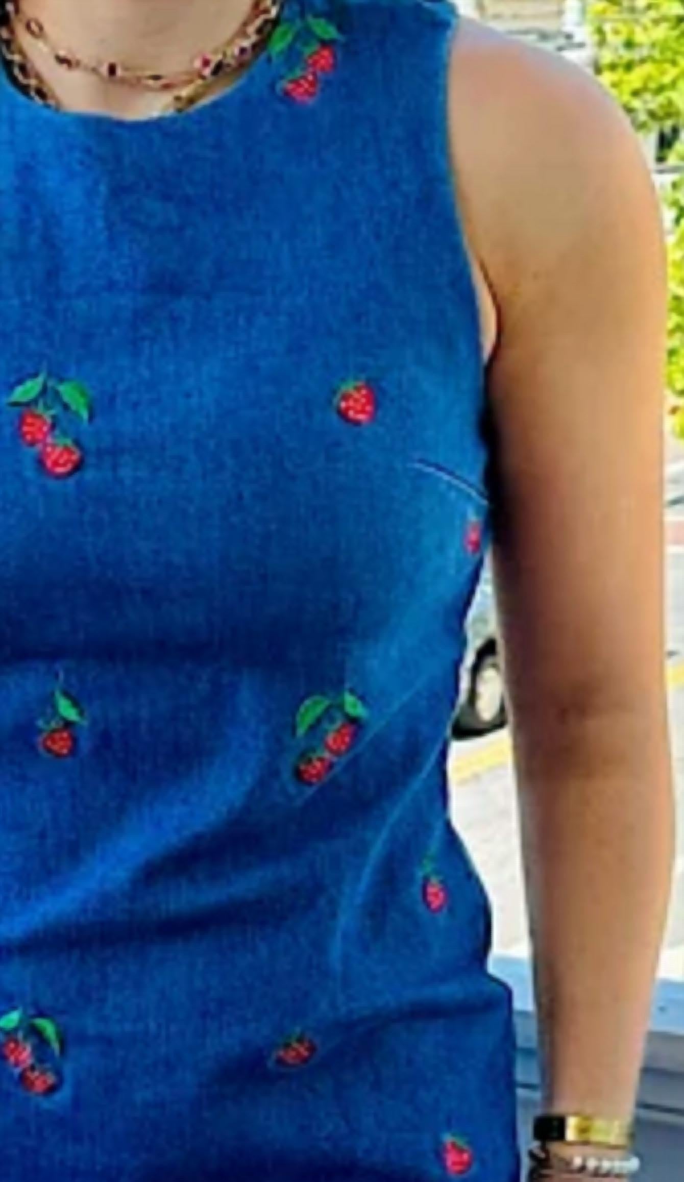 Hem & Thread - Strawberry Embroidered Denim Mini Dress