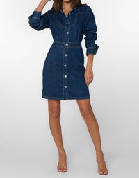Velvet Heart - Warner Lake Denim Dress