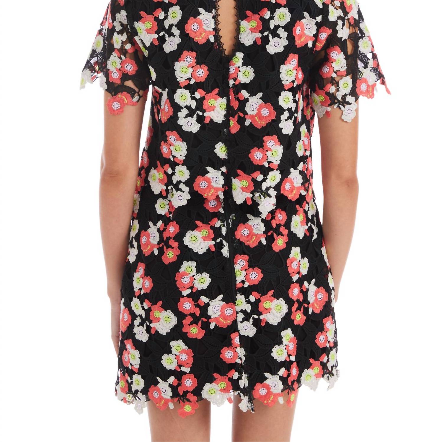 Allison New York - Wren Top