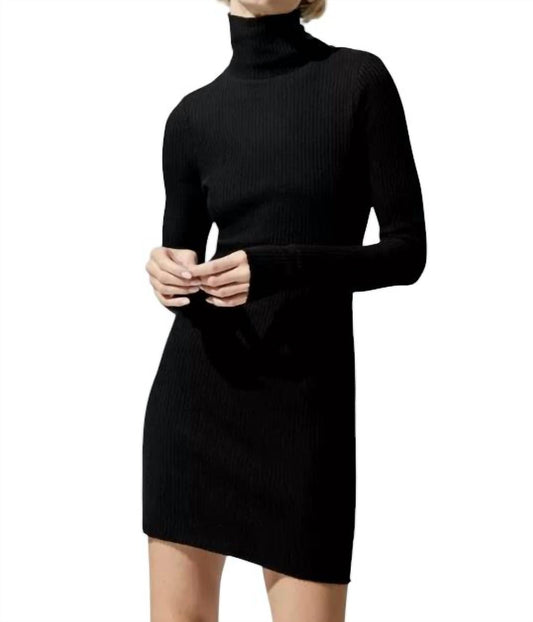 The Range - STARK JUMBO WAFFLE KNIT TURTLENECK DRESS