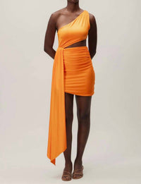Baobab - Zadeh Mini Dress
