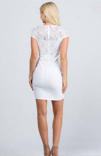 Short Sleeve Sequin Lace and Scuba Crepe Dress