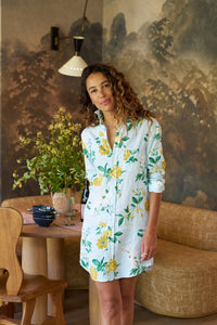 Frank & Eileen - Mary Classic Shirtdress