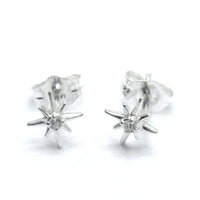 Jessica Elliot - Women's Tiny North Star Studs with CZ