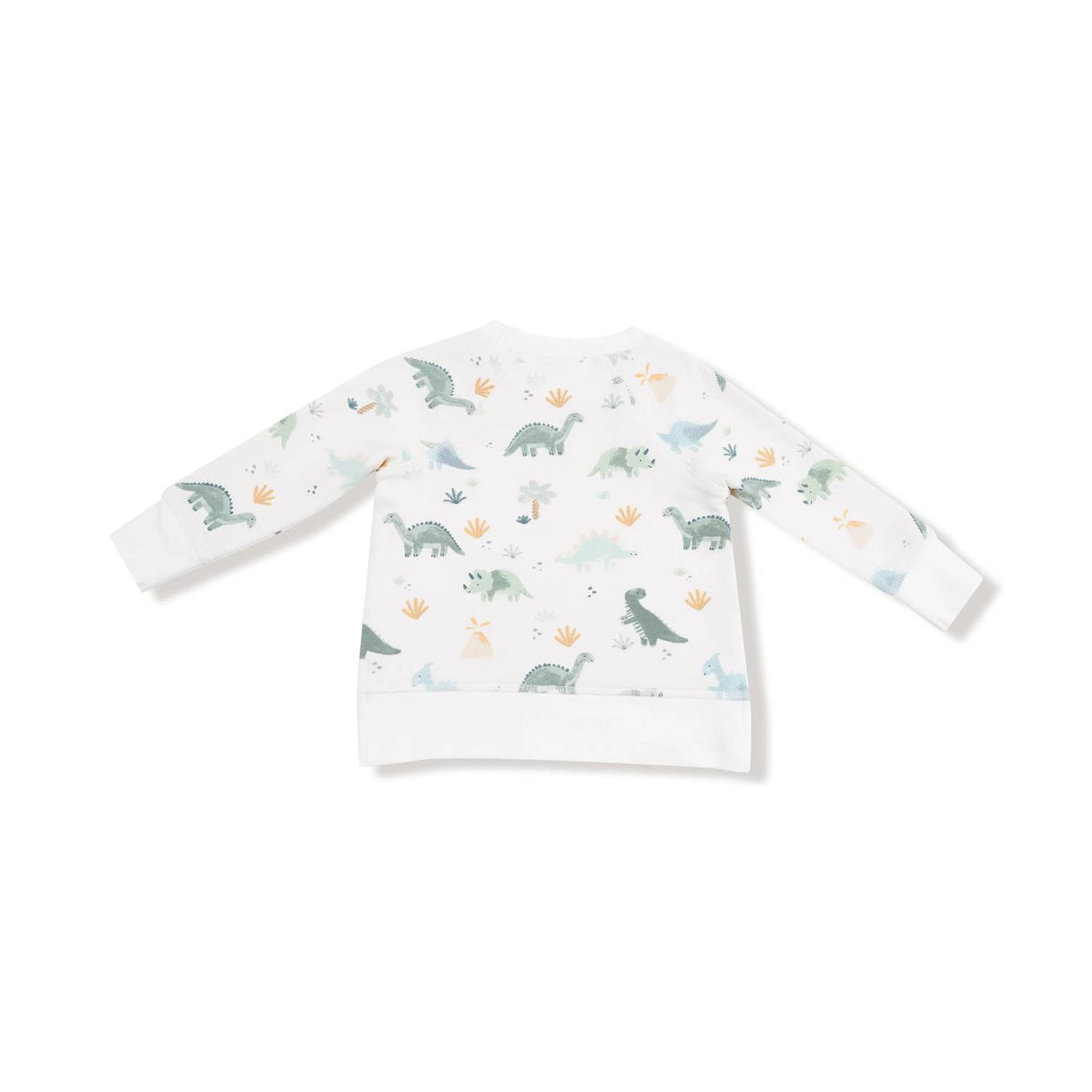 Angel Dear - Boys French Terry Raglan Sweatshirt & Jogger Set