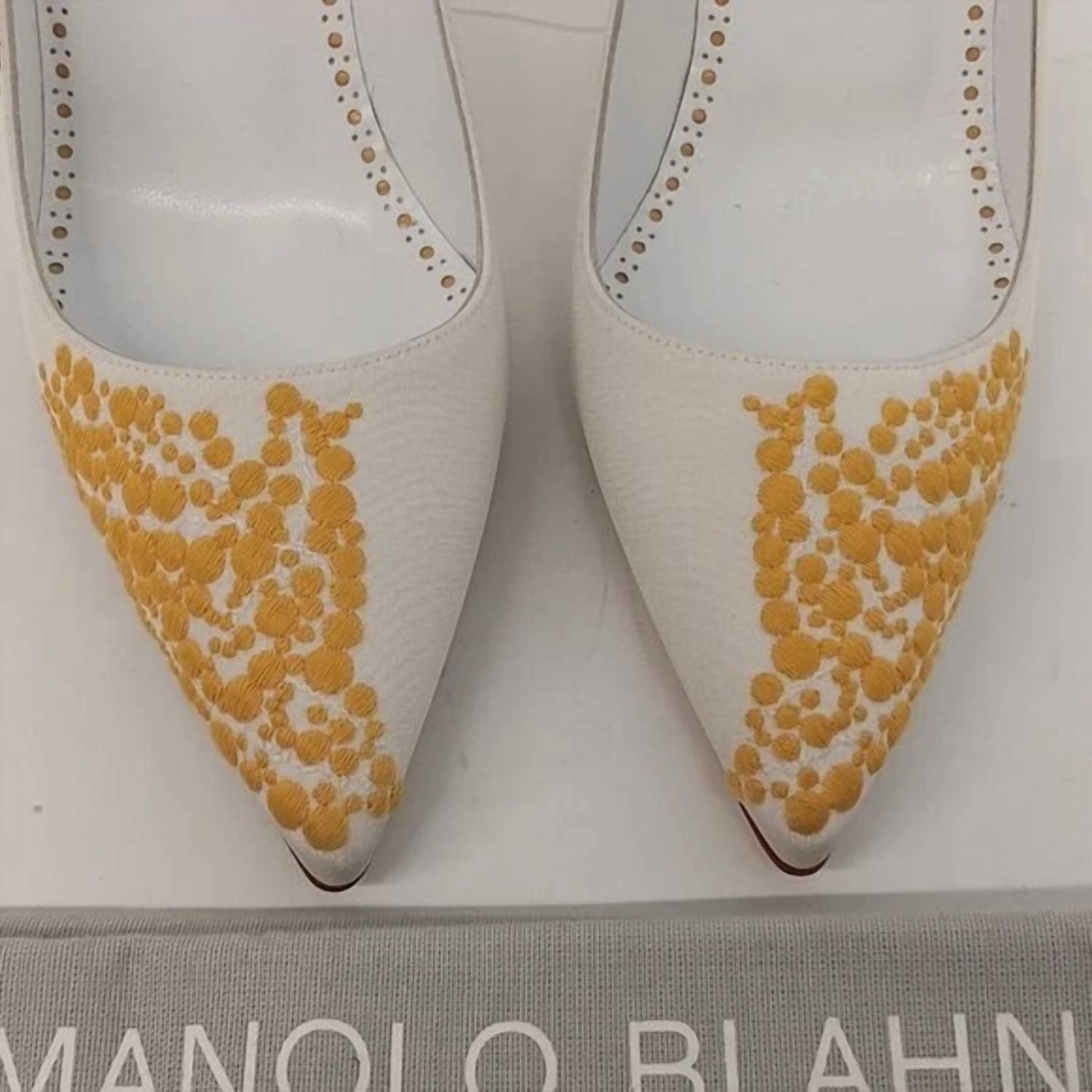 Manolo Blahnik - Women's Embroidered Pumps