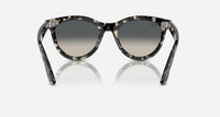 Ray Ban - Women's Rb2241 Wayfarer Way Sunglasses