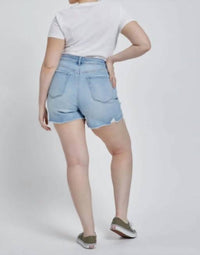 Mica Denim - Sophie Distressed High Rise Shorts