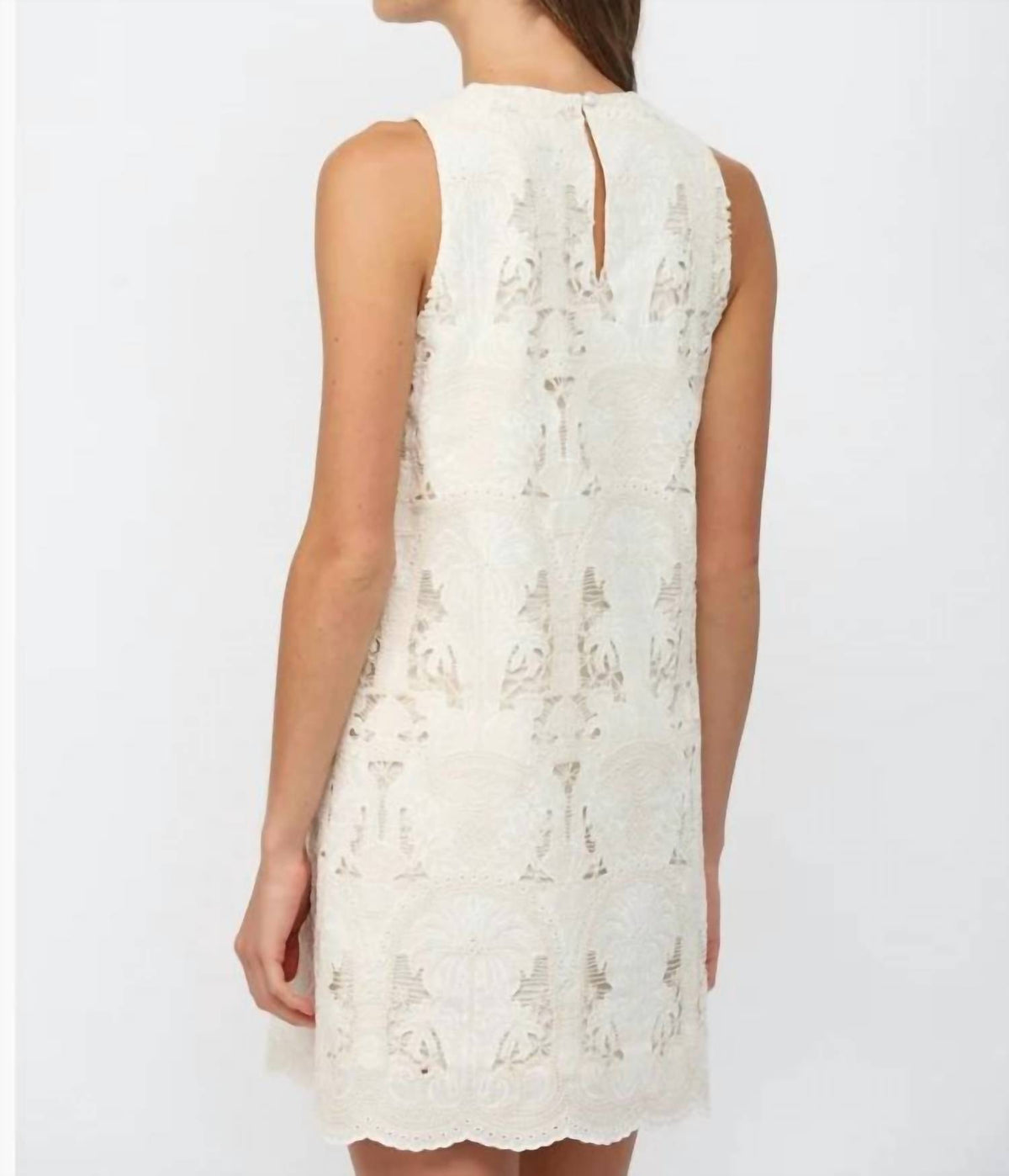 Fate - Lace Shift Dress