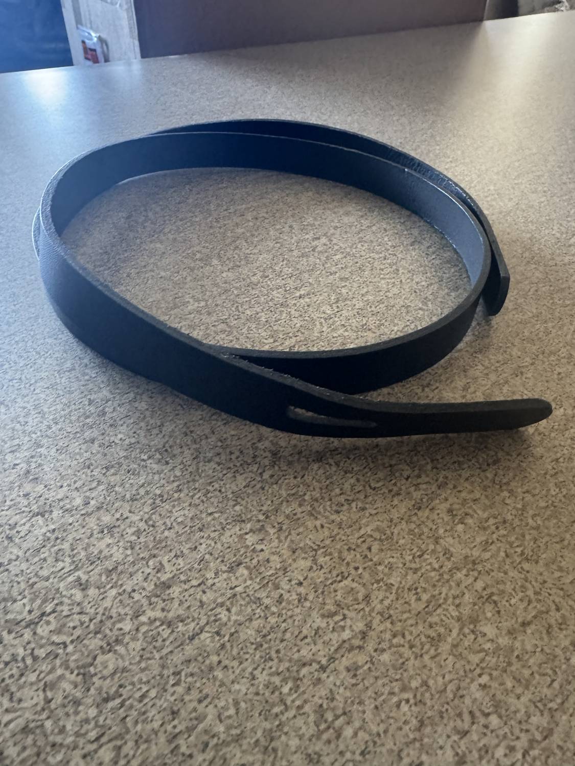 Wild Carrot - Leather Wrap Belt