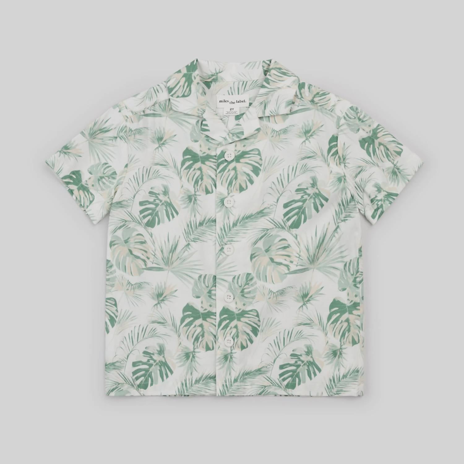 Miles Baby Boys Short Sleeve Shirt in palm fronds - men's shirt