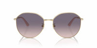Jimmy Choo - Women's Phantos Shape Sunglasses