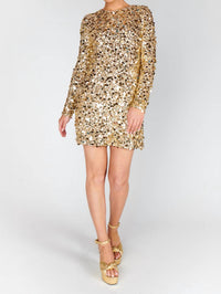 Show Me Your Mumu - Maddison Mini Dress