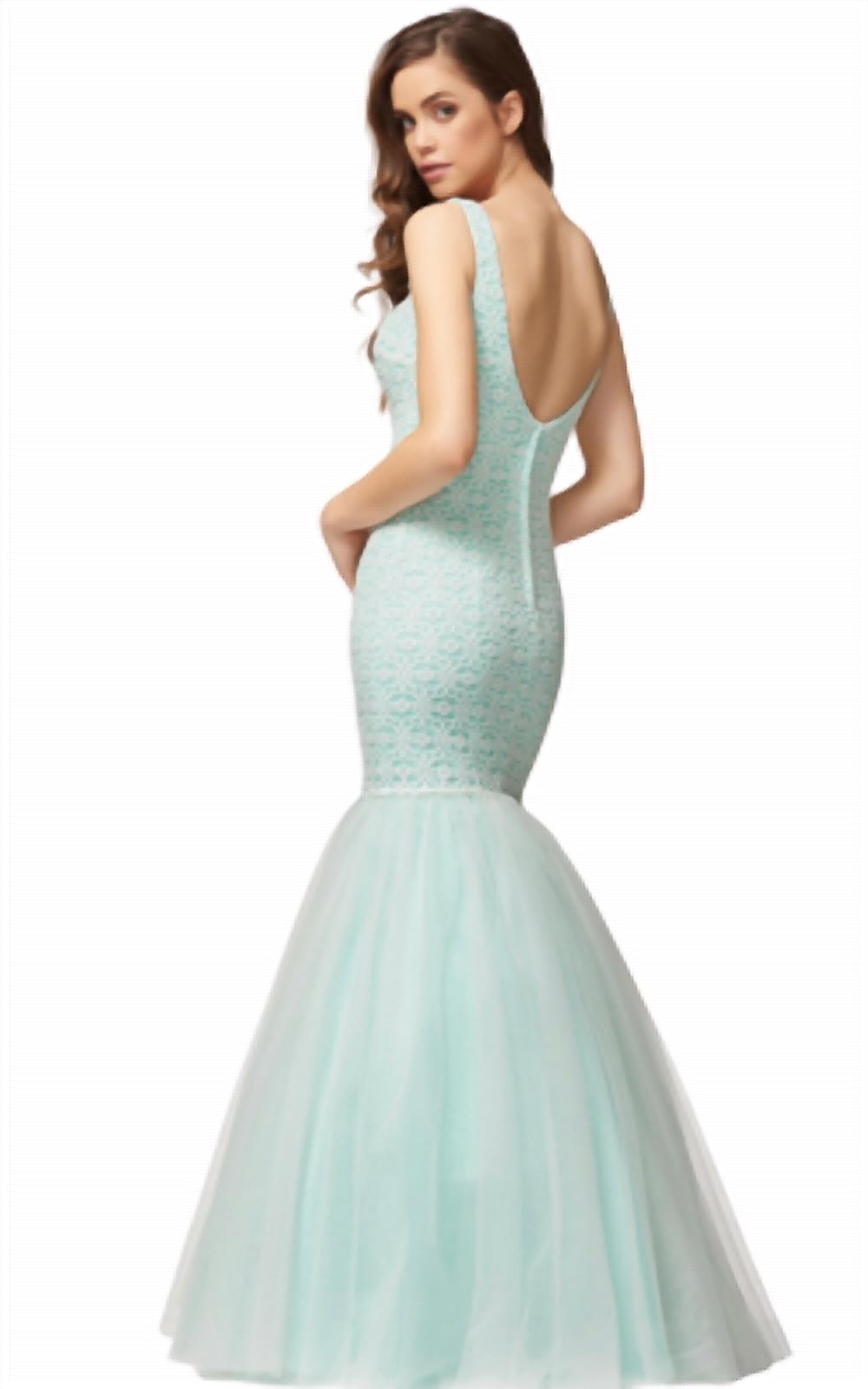 Lace And Tulle Mermaid Gown