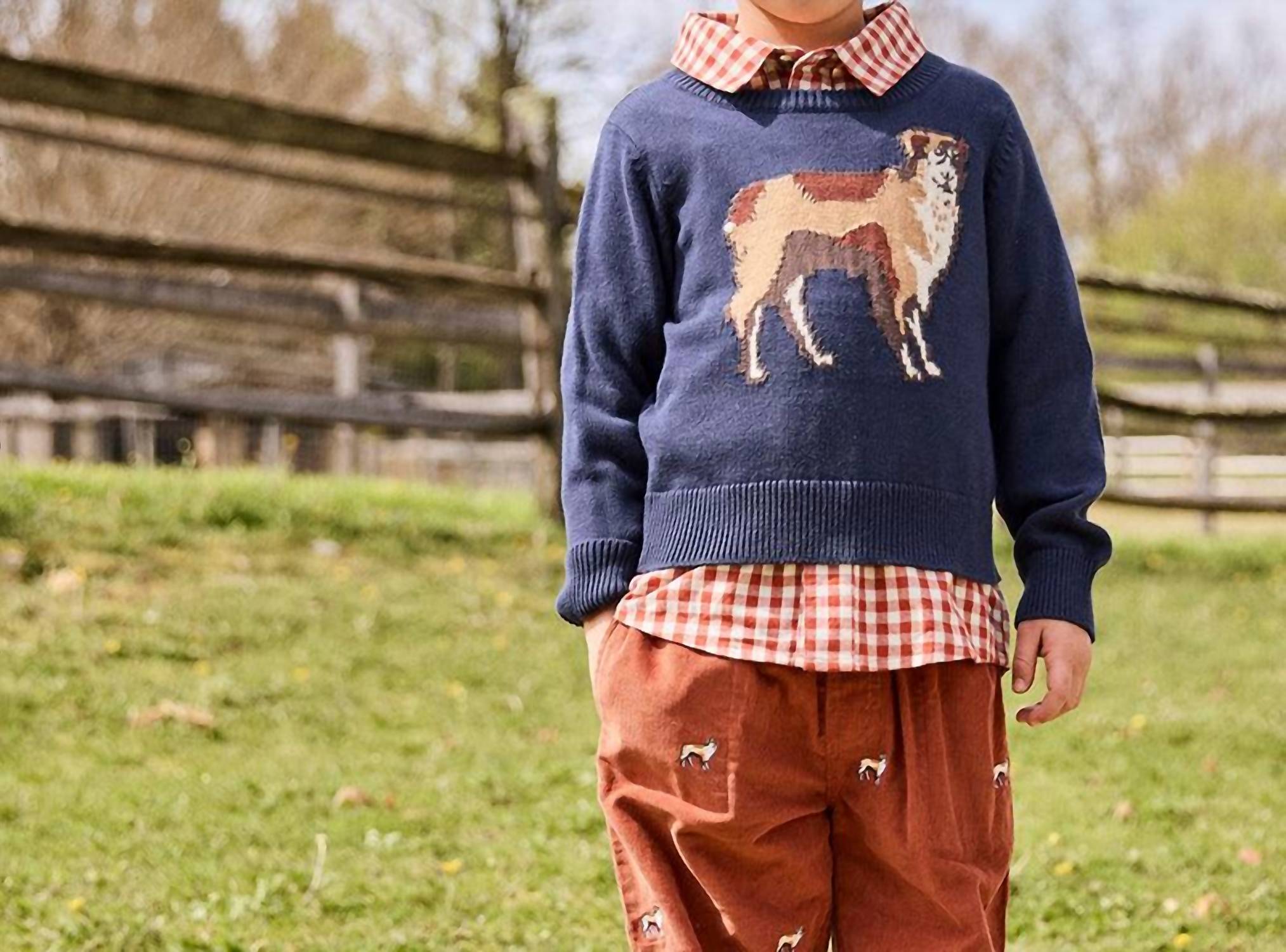 Pink Chicken - Oliver Sweater