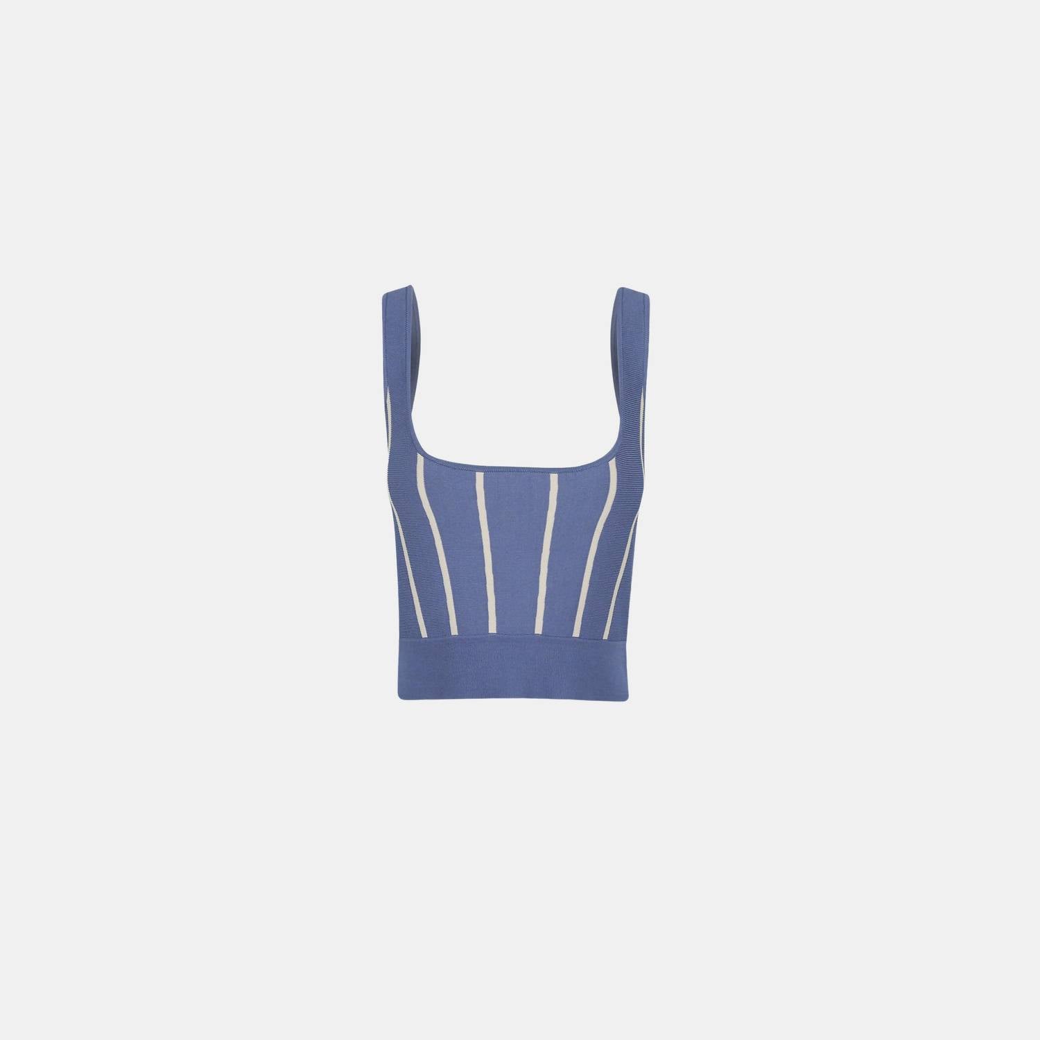 Bijou Knit Contrast Bustier Top