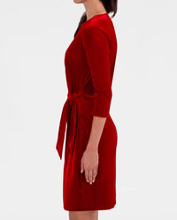 Gretchen Scott - Cinch & Tie Dress