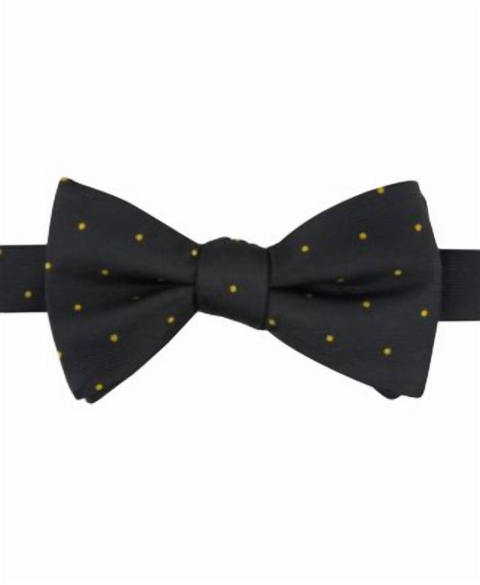 Tayion - Men's Dot Bow Tie