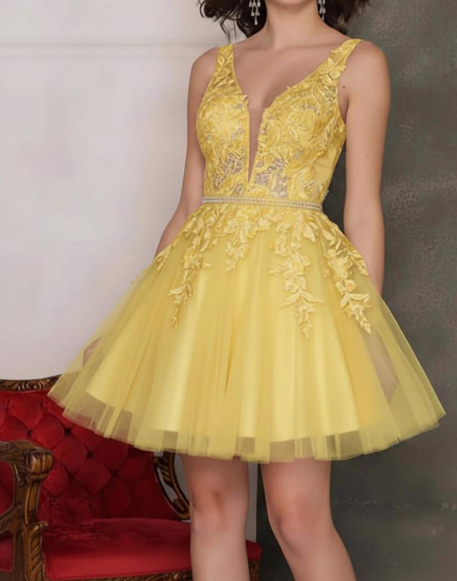 Dave & Johnny - Tulle And Lace Appliqué Mini Dress