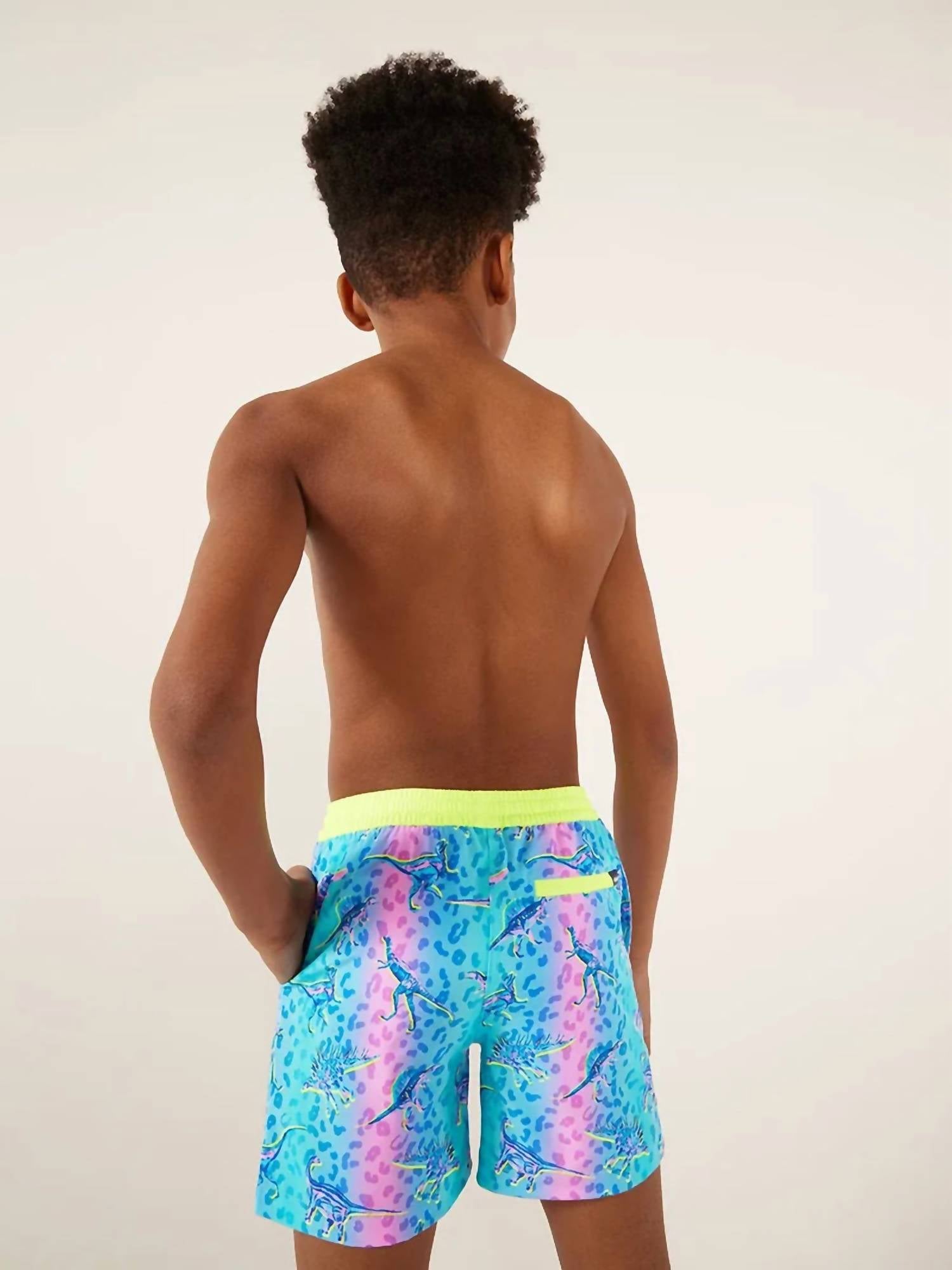 Chubbies - Boys Youth Dino Delights Classic Swim Trunk