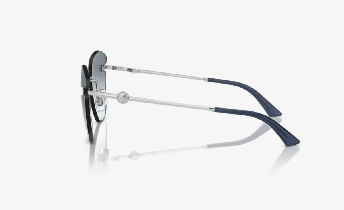Jimmy Choo - Women's Cat Eye Sunglasses