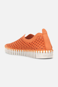 Ilse Jacobsen - Women's Tulip 139 Slip On Shoe