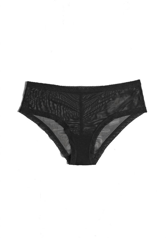 Blush Lingerie - Women's Mesh Lace Trim Hipster Panty