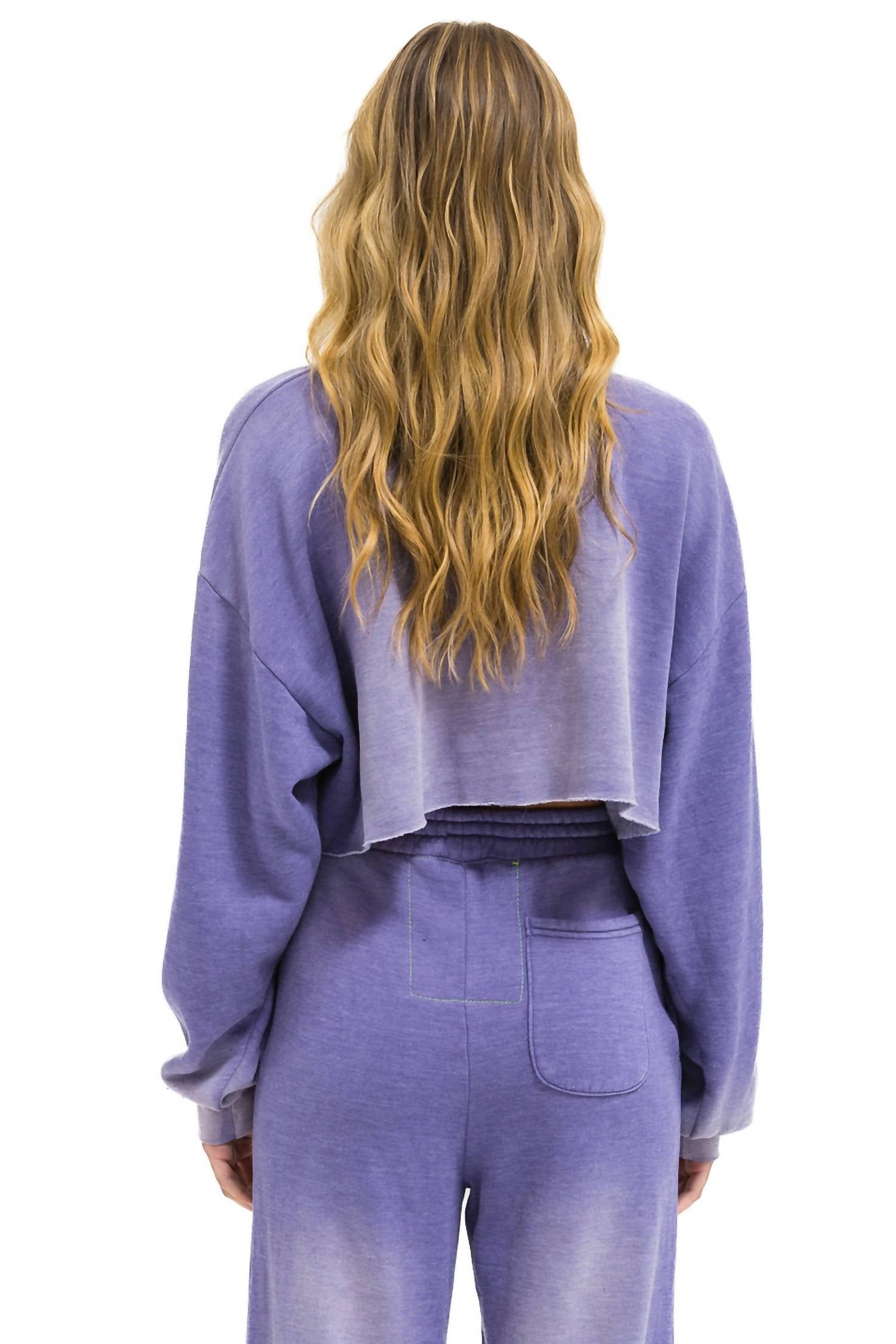 Aviator Nation - 3d Cropped Crew Relaxed Sweatshirt