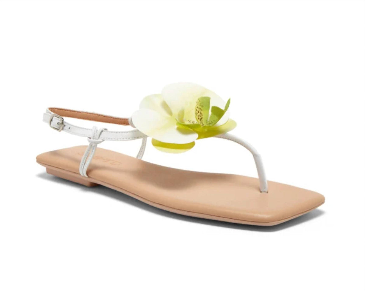 Silent D - Women's Emlyn Flats Sandals