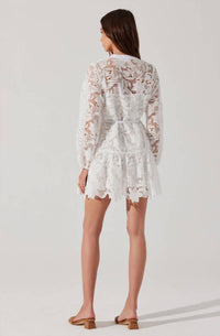 Astr - Celie Crochet Lace Mini Dress