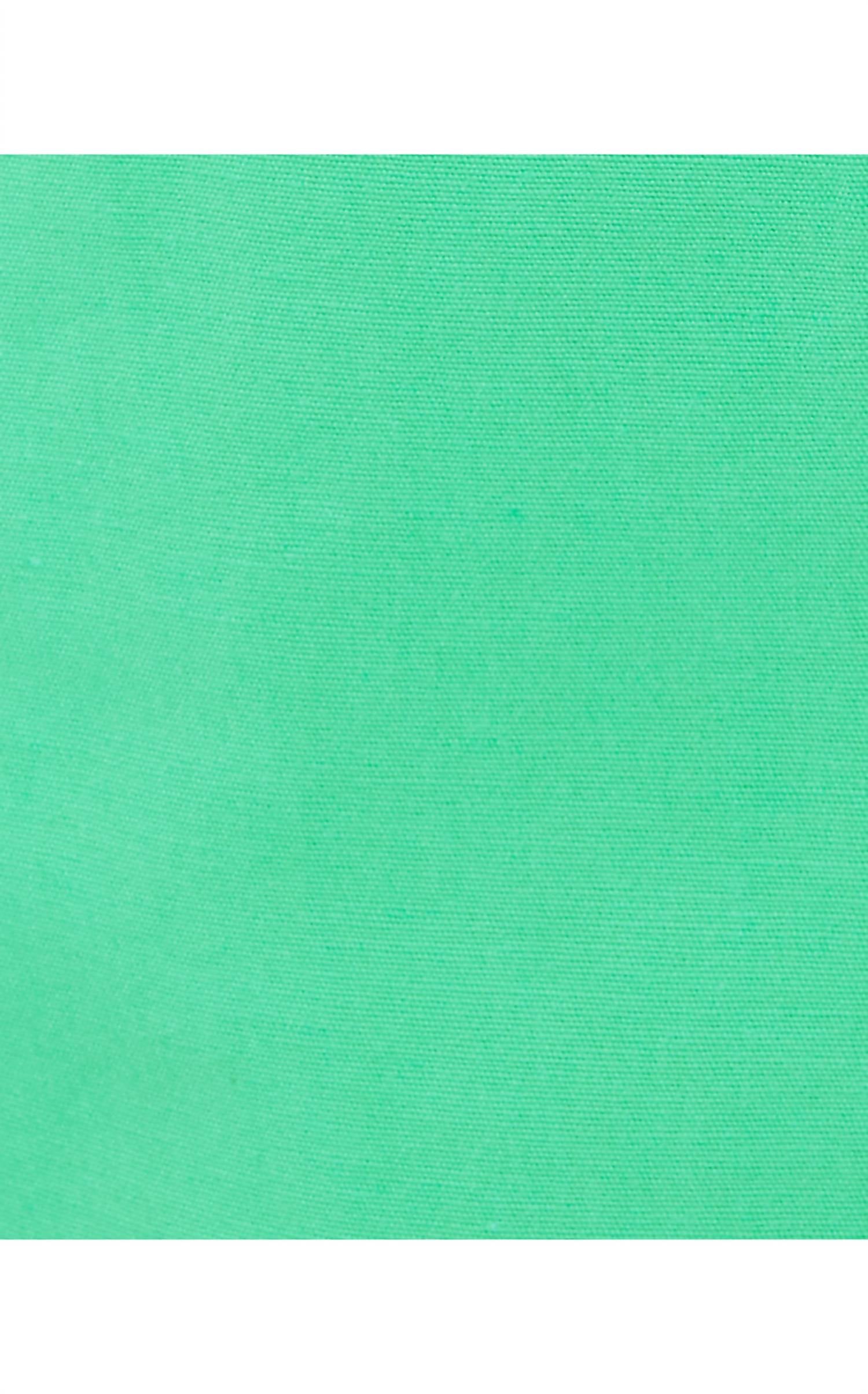 Lilly Pulitzer Deloria Linen Short in spearmint - women's shorts - view 4