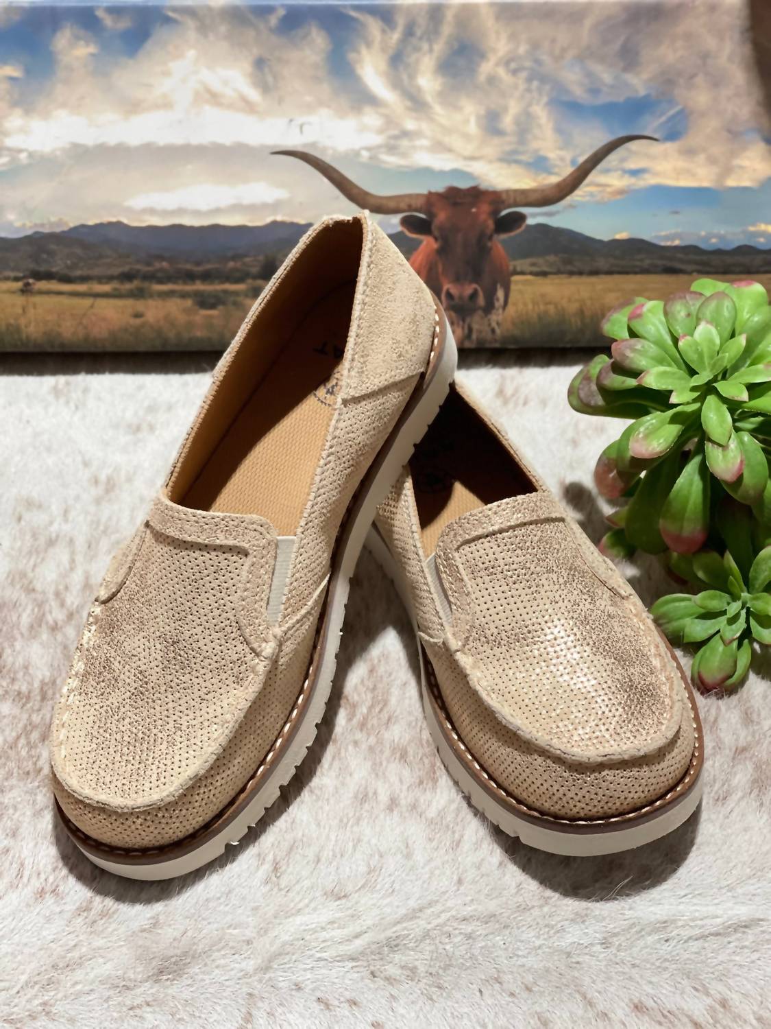 Ariat - Women's Close Out Cruiser Flat