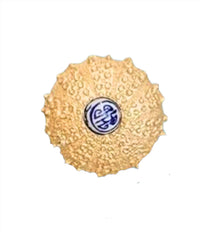 Southern Tribute Gifts Sea Urchin Cocktail Napkin Box in clear - item - detail view