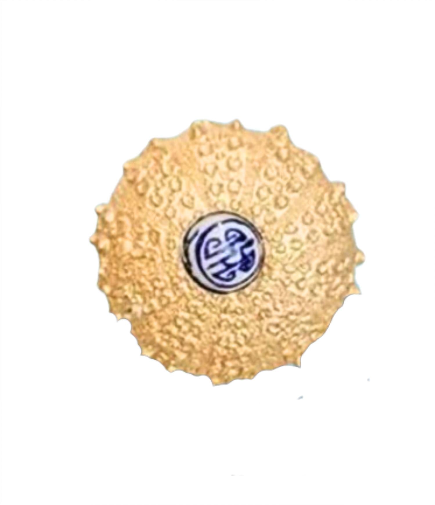 Southern Tribute Gifts Sea Urchin Cocktail Napkin Box in clear - item - detail view