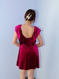 Le Lis - Velvetier Mini Dress