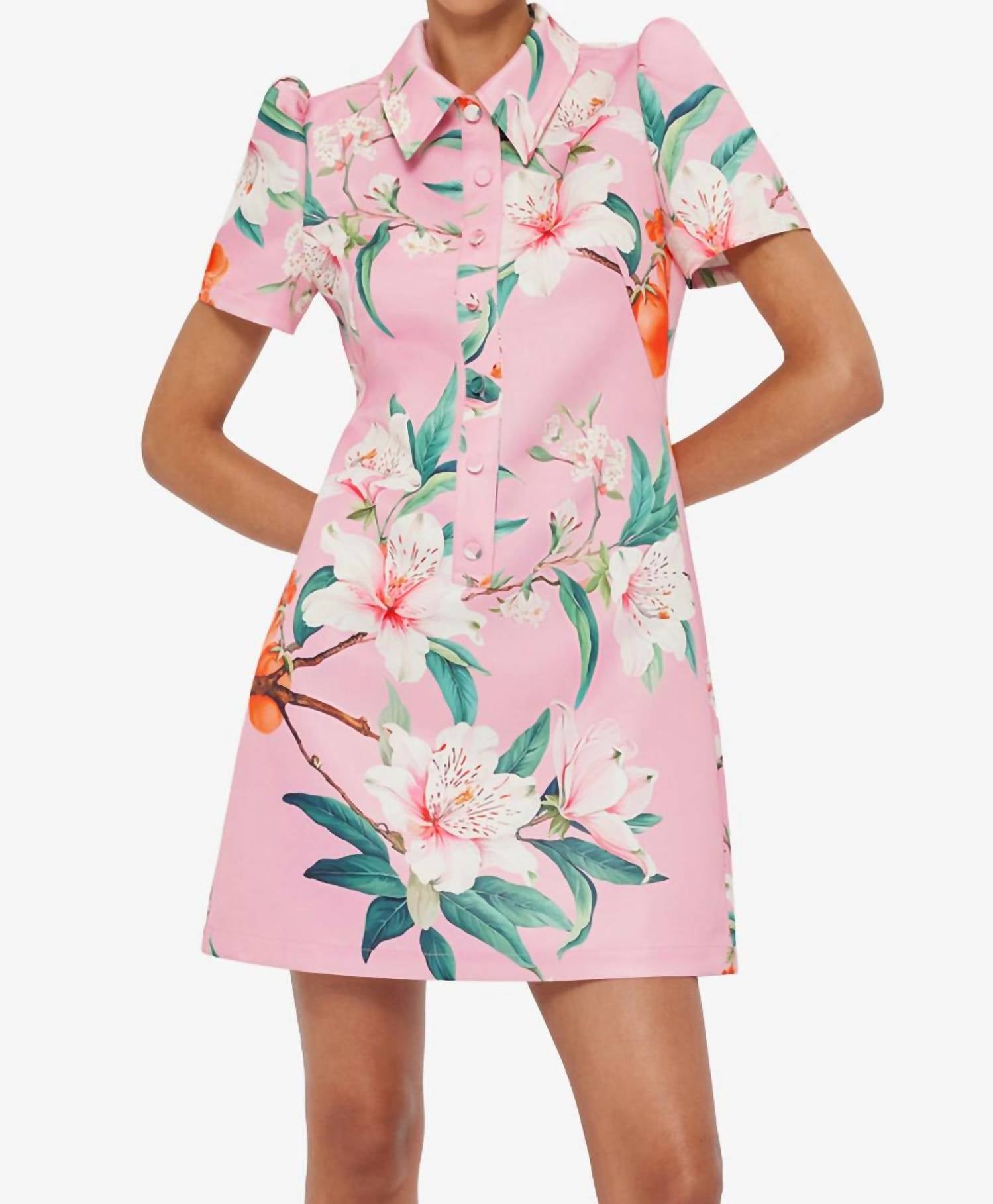 Leo Lin - Brooke Mini Dress