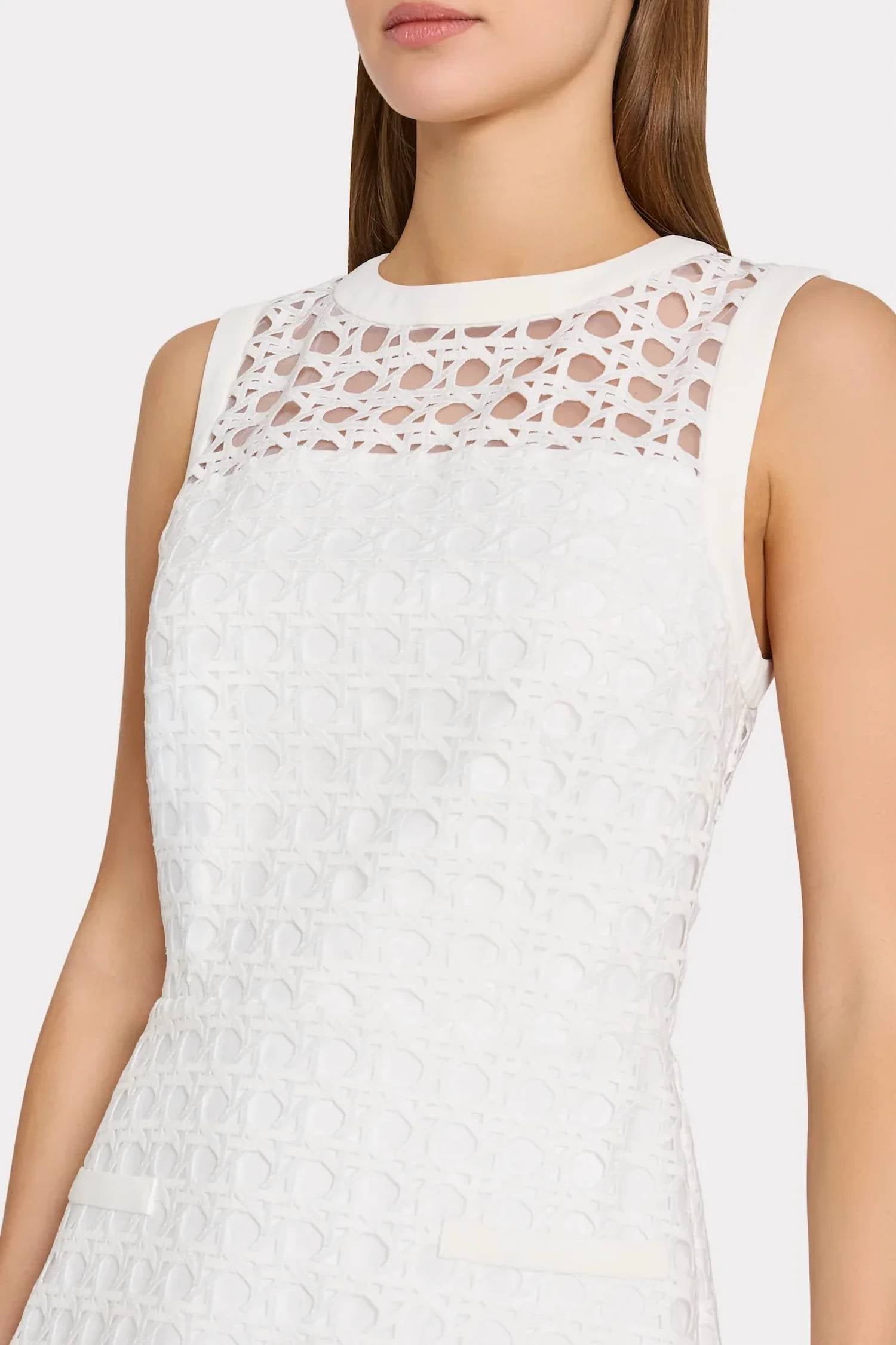Milly - Moira Lace Mini Dress